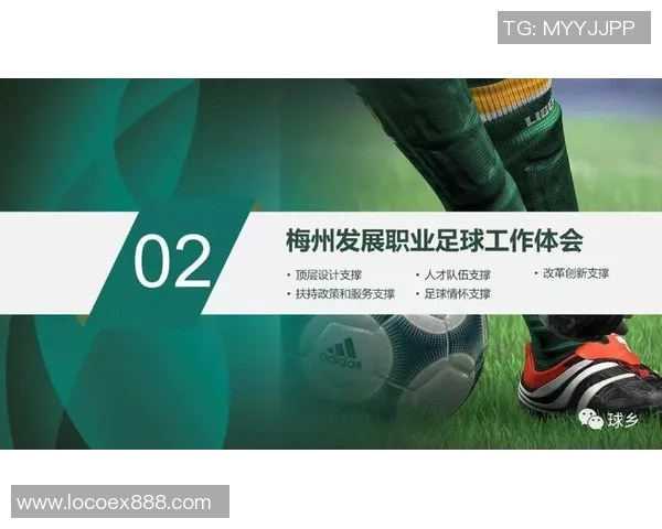 足球球星训练态度对职业生涯的影响与成功因素分析 足球球星训练态度对职业生涯的影响与成功因素分析