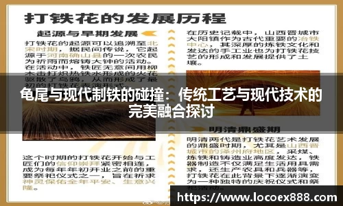 龟尾与现代制铁的碰撞：传统工艺与现代技术的完美融合探讨